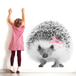 DEKORACJAN Samolepka na zeď - ježek s mašličkou Velikost: M