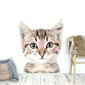DEKORACJAN Samolepka na zeď - kotě v brýlích Velikost: S