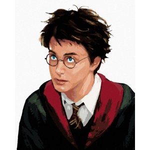 Zuty Malování podle čísel Harry Potter portrét