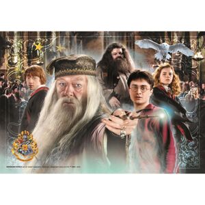 Clementoni Puzzle 104 dílků Harry Potter