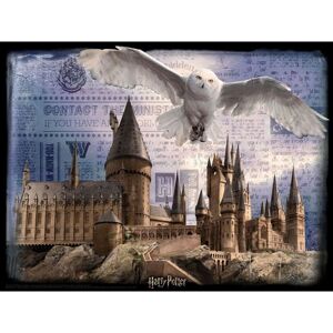 HM Studio 3D Puzzle Harry Potter Bradavice a Hedvika 500 dílků