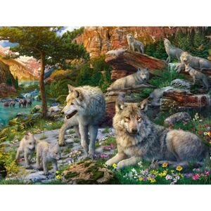 Ravensburger Puzzle 165988 Jarní vlci 1500 dílků