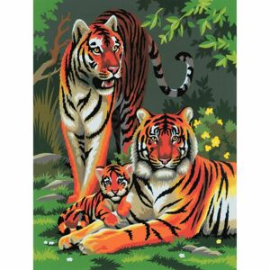 Creatoys Malování 22 x 30cm Tygři