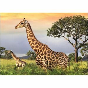 Dino žirafí rodina 1000 puzzle