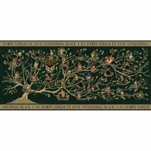 Ravensburger puzzle 172993 Harry Potter Rodokmen 2000 dílků Panorama
