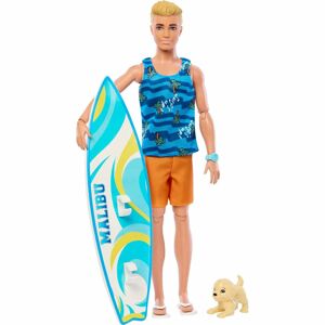 Barbie Ken surfař s doplňky HPT50