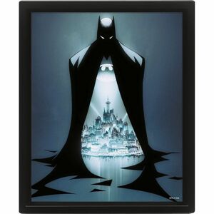3D obraz Batman Gotham protector