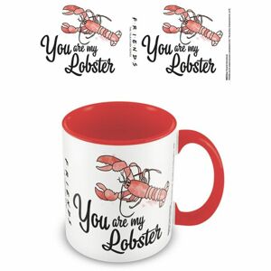 Hrnek barevný Přátelé You are my lobster 315 ml