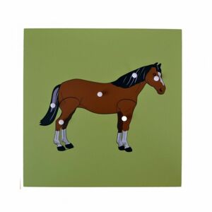 Montessori Vkládací puzzle s kostrou koně