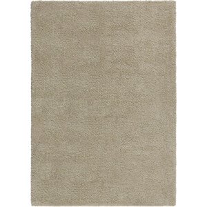 Flair Rugs koberce Kusový koberec Shaggy Teddy Natural Rozměry koberců: 120x170
