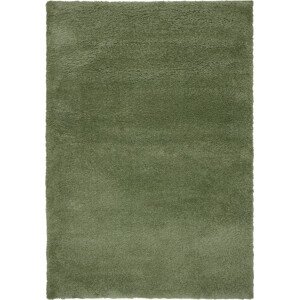 Flair Rugs koberce Kusový koberec Shaggy Teddy Olive Rozměry koberců: 120x170