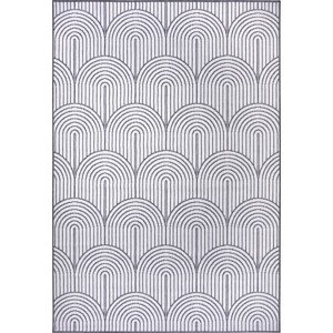 Hanse Home Collection koberce Kusový koberec Pangli 105851 Silver – na ven i na doma Rozměry koberců: 120x170