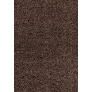 Ayyildiz koberce Kusový koberec Dream Shaggy 4000 brown Rozměry koberců: 120x170