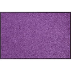 Hanse Home Collection koberce Rohožka Wash & Clean 103838 Violett Rozměry koberců: 40x60