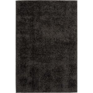 Obsession koberce Kusový koberec Emilia 250 graphite Rozměry koberců: 120x170
