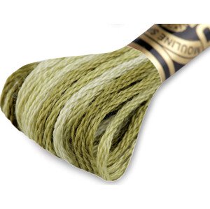 Vyšívací příze DMC Mouliné Spécial Cotton Varianta: 94 Greenery melír, Balení: 1 ks