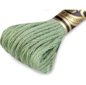 Vyšívací příze DMC Mouliné Spécial Cotton Varianta: 368 Paradise Green, Balení: 1 ks