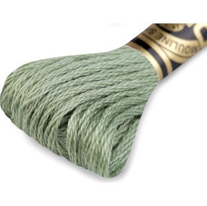 Vyšívací příze DMC Mouliné Spécial Cotton Varianta: 522 Seedling, Balení: 1 ks