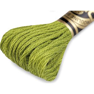Vyšívací příze DMC Mouliné Spécial Cotton Varianta: 581 zelená olivová, Balení: 1 ks