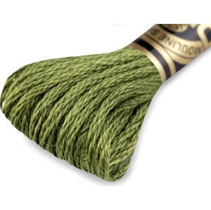 Vyšívací příze DMC Mouliné Spécial Cotton Varianta: 937 Fluorite Green, Balení: 1 ks