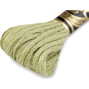Vyšívací příze DMC Mouliné Spécial Cotton Varianta: 3348 Lime Punch světlá, Balení: 1 ks