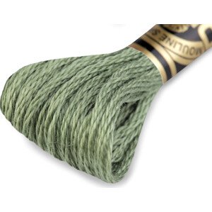 Vyšívací příze DMC Mouliné Spécial Cotton Varianta: 3363 Piquant Green, Balení: 1 ks