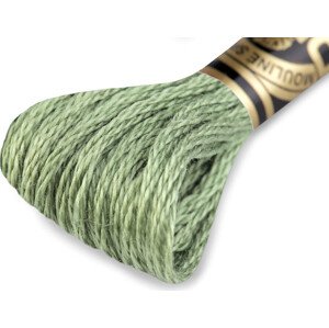 Vyšívací příze DMC Mouliné Spécial Cotton Varianta: 3364 Light Spinach Green, Balení: 1 ks